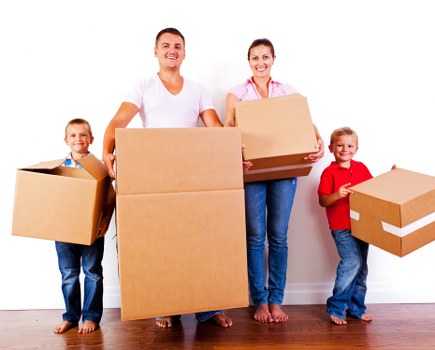 A selection of sturdy cardboard boxes for packing and boxes in Pinner
